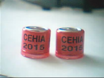 2015-Cehia
