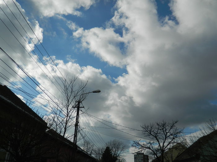 DSCN1973 - 2015_FEBRUARIE