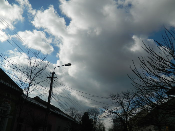 DSCN1974 - 2015_FEBRUARIE