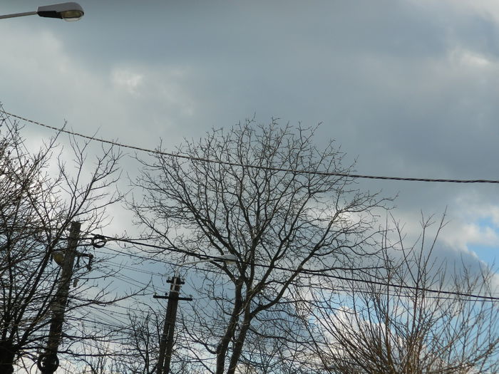 DSCN1982 - 2015_FEBRUARIE