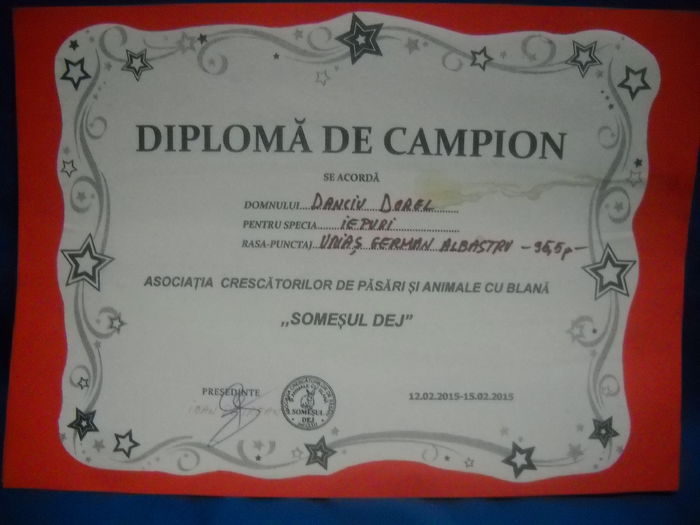 DSCN0694 - CUPE SI DIPLOME
