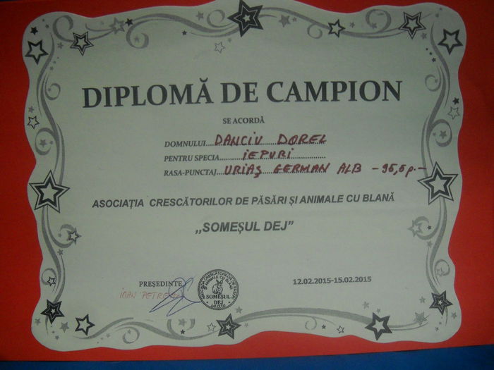 DSCN0695 - CUPE SI DIPLOME
