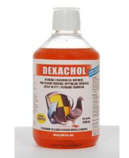 dexachol - 1000 ml - 75 lei - 1 a - Produse pentru porumbei