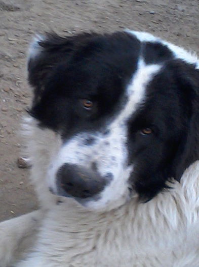 IMG_20150219_151048 - ursu