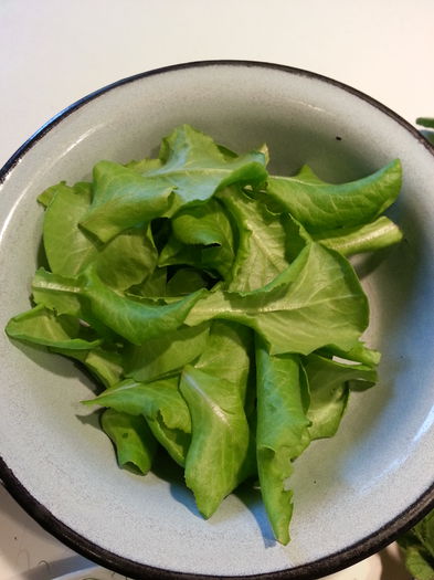 20150219_161024; Salata
