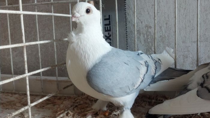 2015-02-19_15-24-45_644