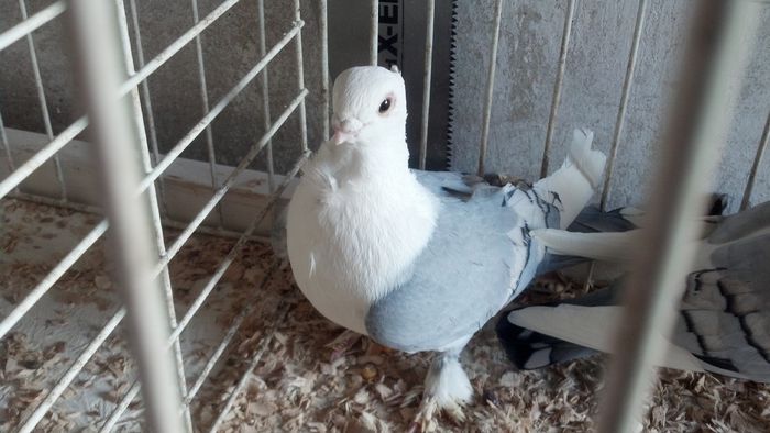 2015-02-19_15-24-16_77