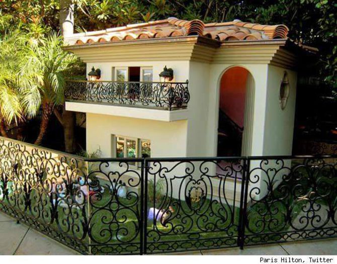 535916_10152887475662160_942631331808554943_n - frumuseti pentru gradina si curte