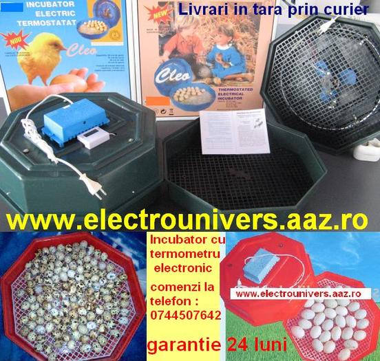 cleo incubatoare oua; Comanda incubatoare electrice in tara la 0744507642. Incubator de oua cu termometru electronic CLEO.
