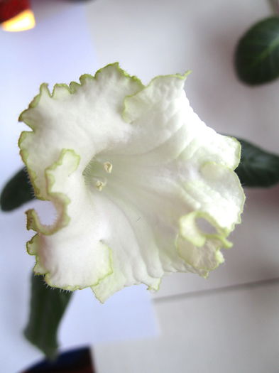 DS-1249(1)(20-02-2015)