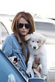 miley10 - Toluca Lake Candids Miley