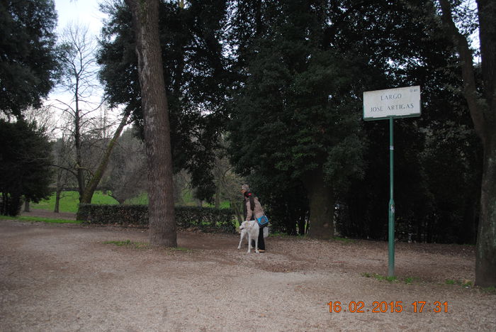 Picture 655