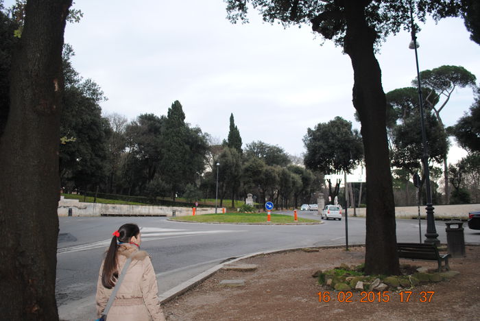 Picture 664