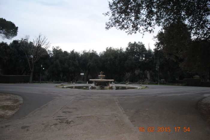 Picture 679