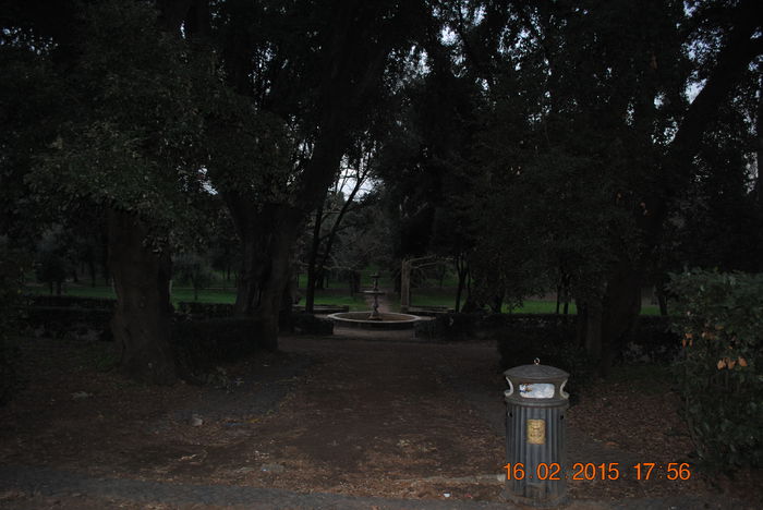 Picture 681