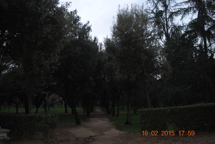 Picture 683