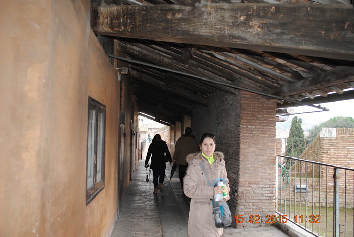 Picture 071