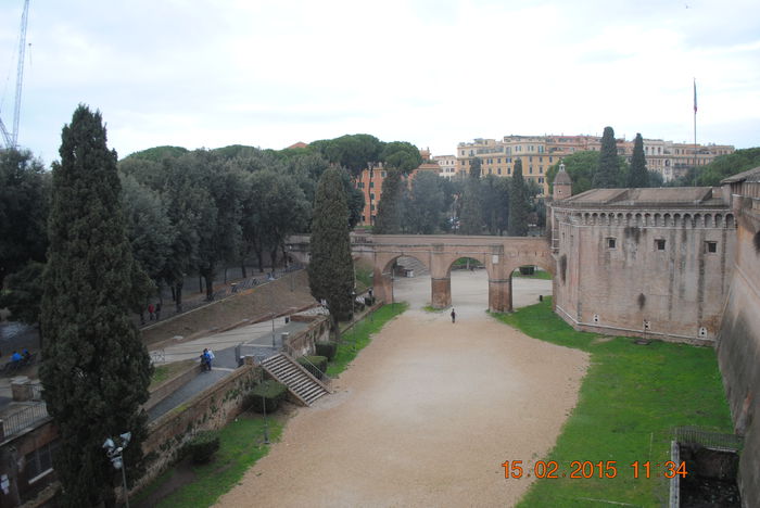 Picture 077