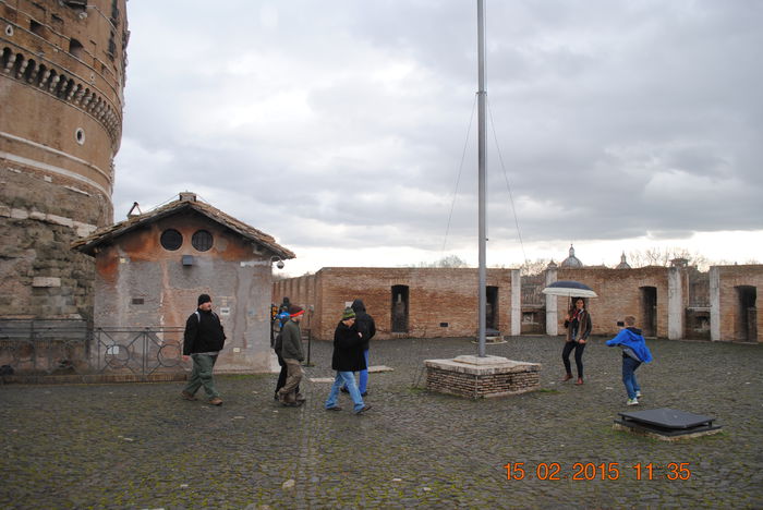 Picture 081