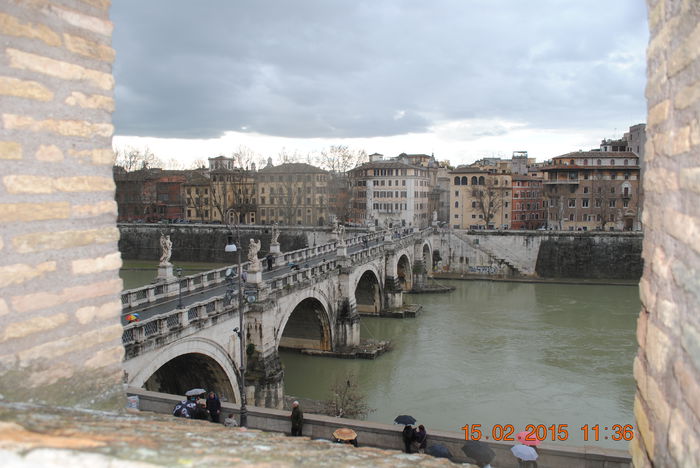 Picture 082