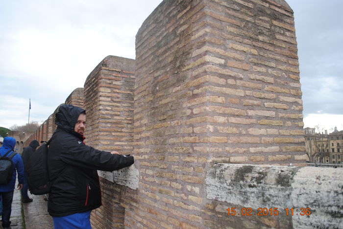 Picture 083