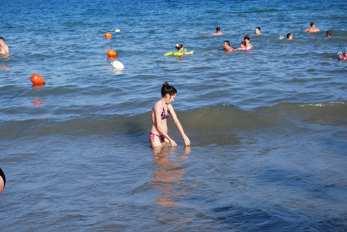DSC_0939 - viv