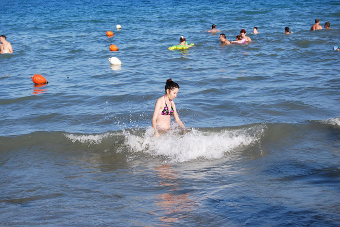 DSC_0940 - viv