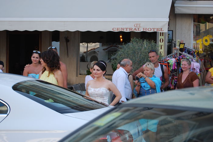 DSC_0953 - viv