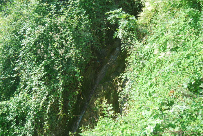 DSC_1107