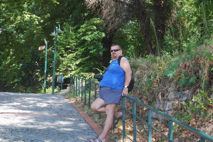 DSC_1159 - viv