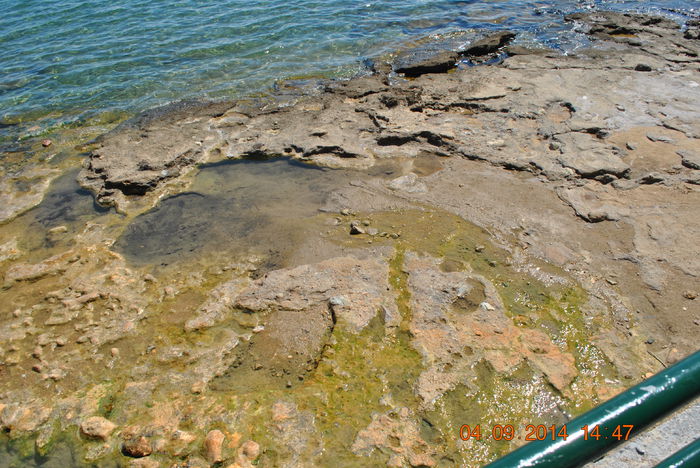 DSC_0118 - lo 2
