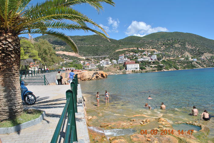 DSC_0121 - lo 2