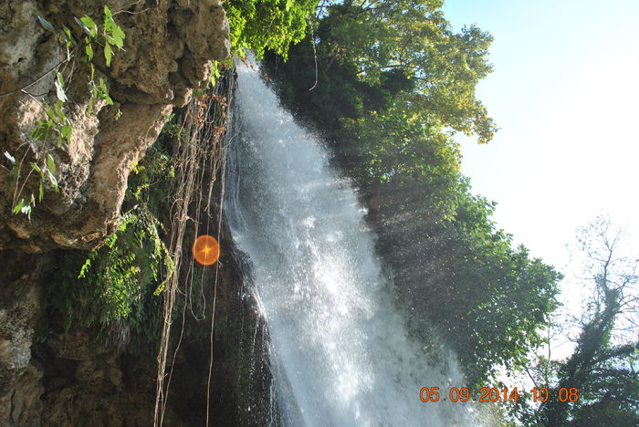 DSC_0132 - lo 2