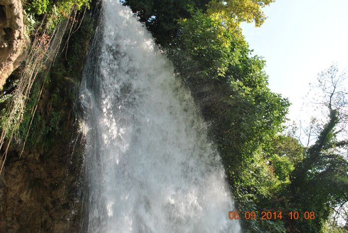 DSC_0134 - lo 2