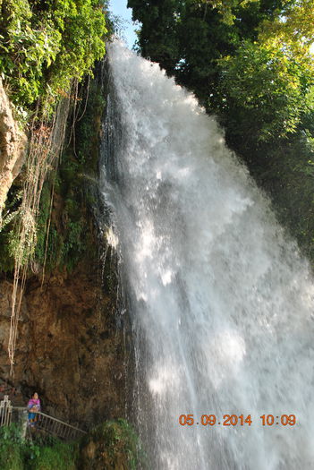 DSC_0136 - lo 2