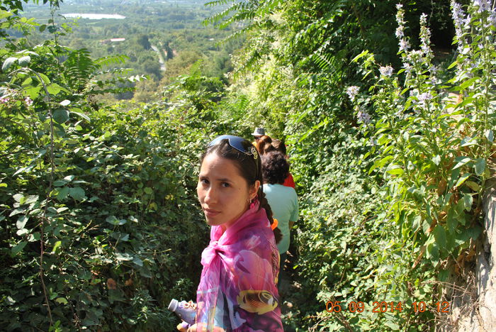 DSC_0138 - lo 2