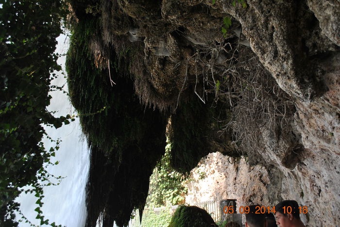 DSC_0150 - lo 2