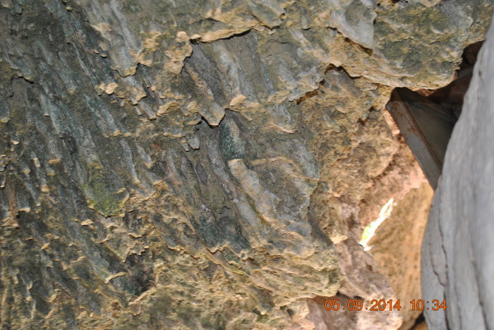DSC_0179 - lo 2