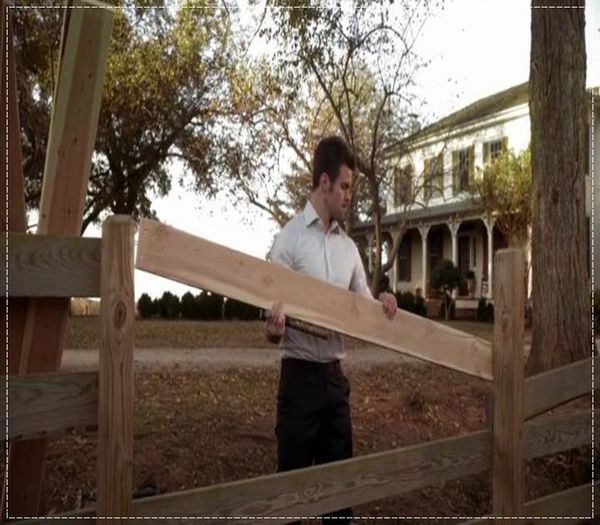 ;; Nu este nevoie, tanara dra. E treaba de barbati *fixeaza scandura* =))) #Zoe.