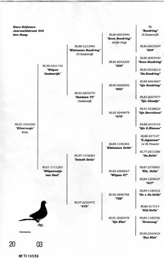 Pedigreu la nl 556