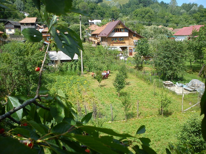 DSC00292 - bulgaria golden sands