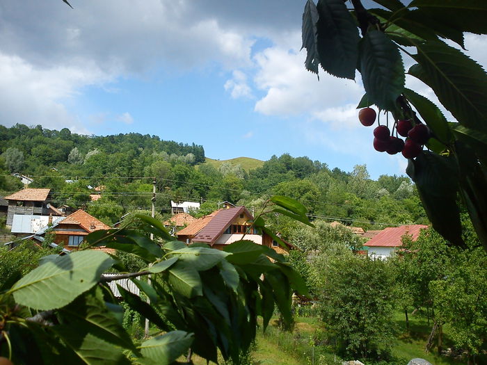 DSC00293 - bulgaria golden sands