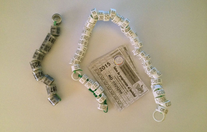 INELE ORNAMENT SI VOIAJORI