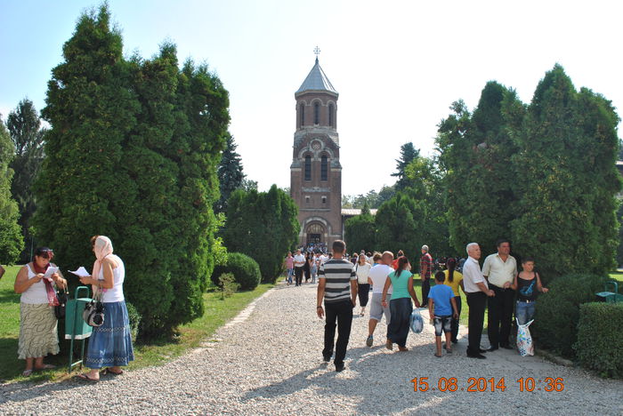 DSC_0280 - 2014 august 15 excursie pe Transfagarasan