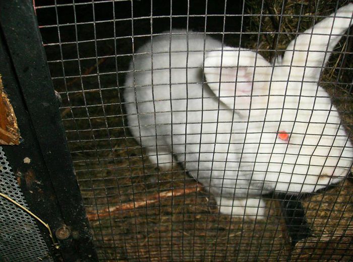 10806325_751720541582236_1789356347133011602_n