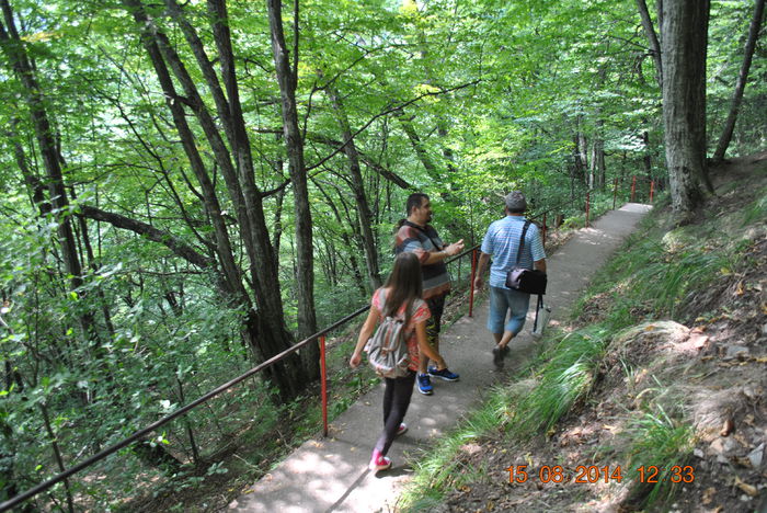 DSC_0326 - 2014 august 15 excursie pe Transfagarasan