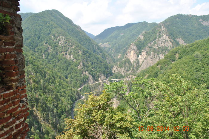 DSC_0369 - 2014 august 15 excursie pe Transfagarasan