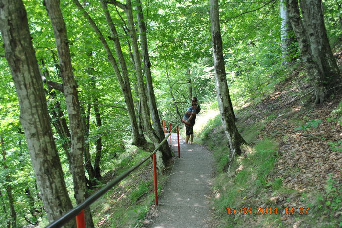 DSC_0379 - 2014 august 15 excursie pe Transfagarasan