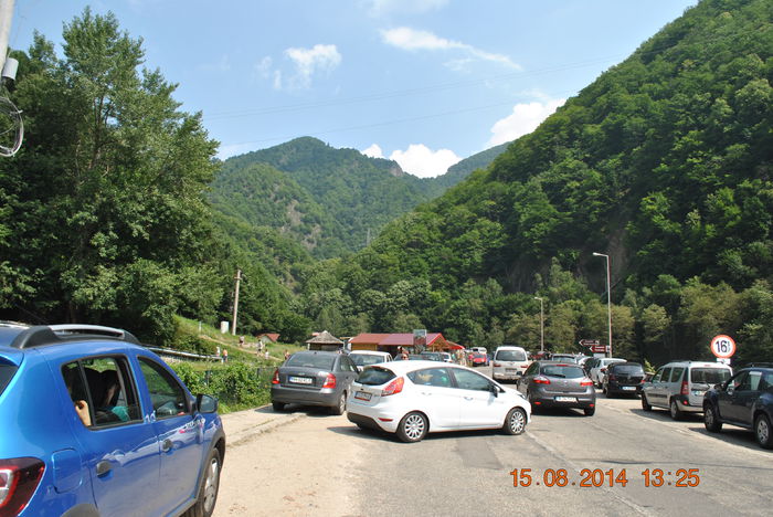 DSC_0387 - 2014 august 15 excursie pe Transfagarasan
