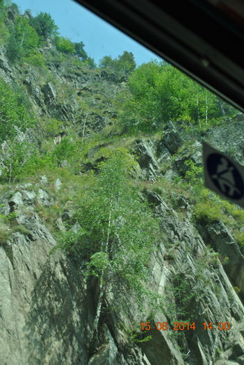 DSC_0406 - 2014 august 15 excursie pe Transfagarasan
